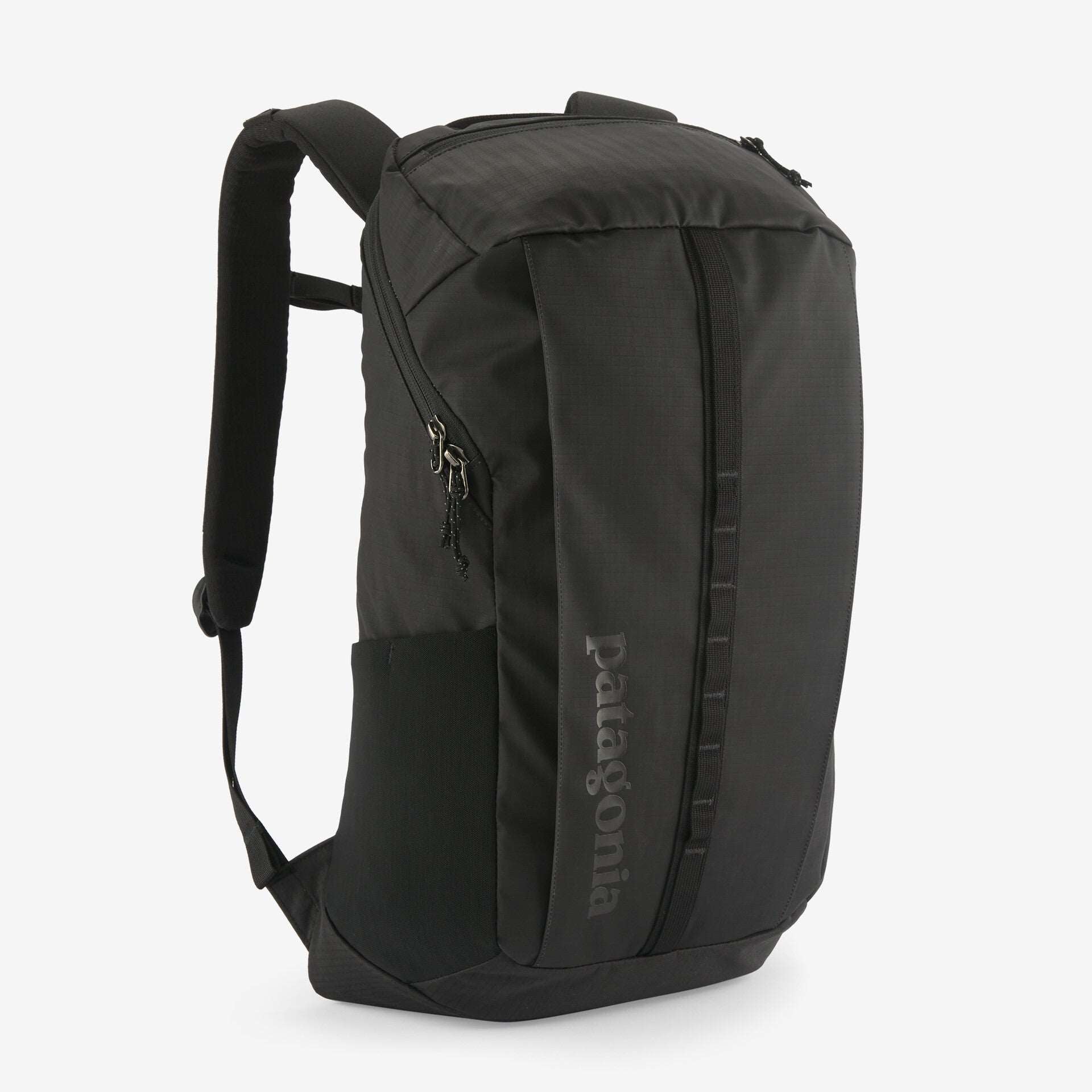 Patagonia Black Hole® Pack 25L Black | Patagonia |