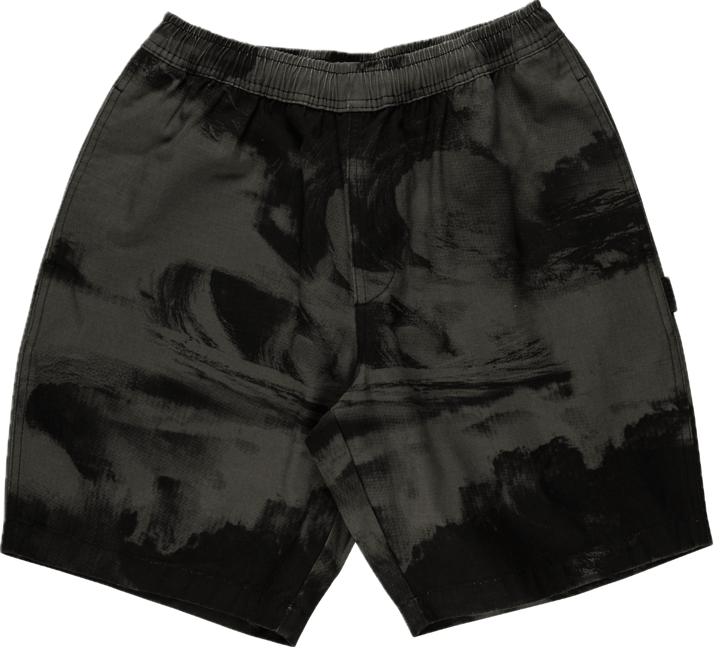 Santa Cruz Painters short (Blk Crash)