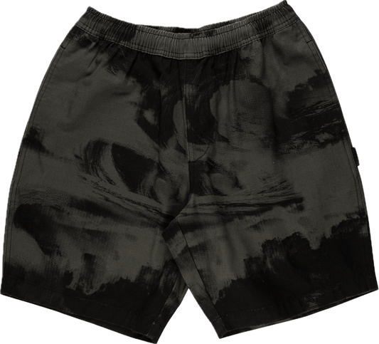 Santa Cruz Painters short (Blk Crash) | Santa Cruz | Shorts